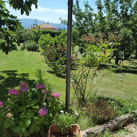 Etra